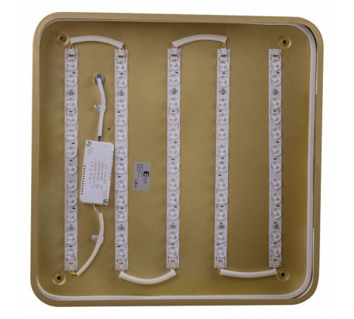 Накладной светильник Zortes Gabby ZRS.1215.03