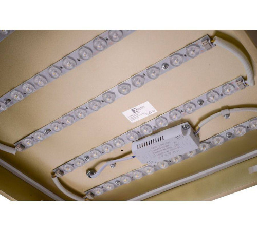 Накладной светильник Zortes Gabby ZRS.1215.03