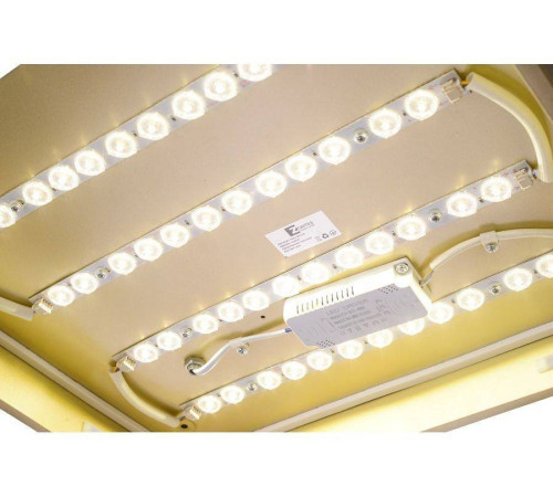 Накладной светильник Zortes Gabby ZRS.1215.03