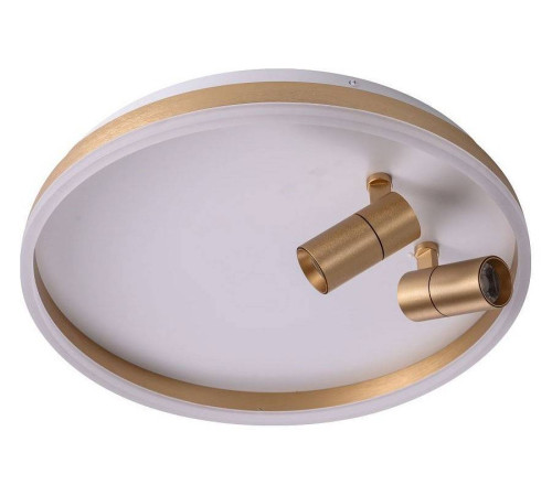 Накладной светильник Zortes Raizy ZRS.1888.02