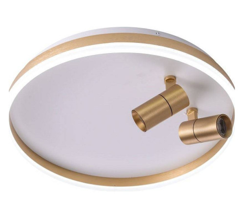 Накладной светильник Zortes Raizy ZRS.1888.02