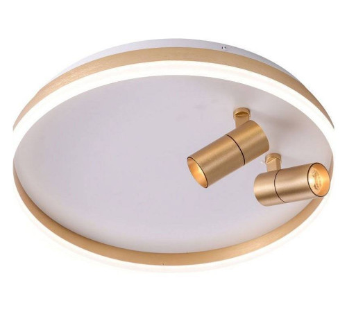 Накладной светильник Zortes Raizy ZRS.1888.02