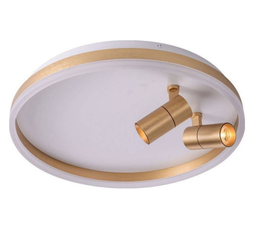 Накладной светильник Zortes Raizy ZRS.1888.02