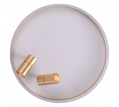 Накладной светильник Zortes Raizy ZRS.1888.02