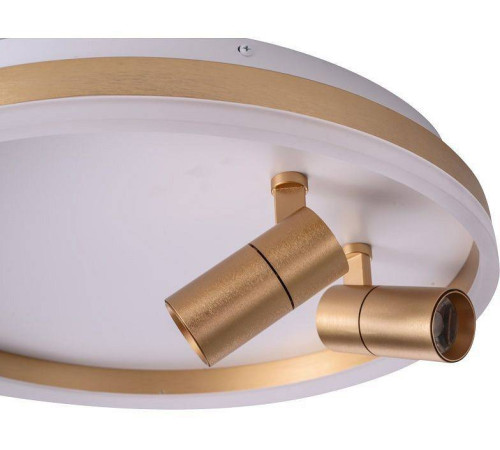 Накладной светильник Zortes Raizy ZRS.1888.02