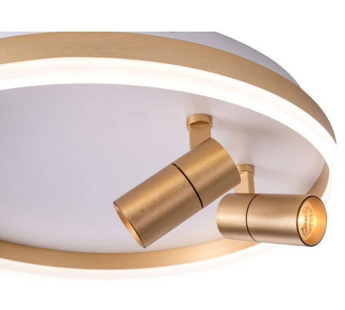 Накладной светильник Zortes Raizy ZRS.1888.02