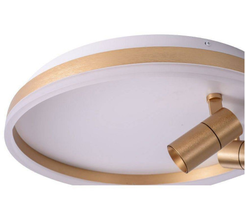 Накладной светильник Zortes Raizy ZRS.1888.02