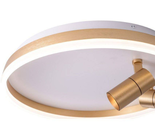 Накладной светильник Zortes Raizy ZRS.1888.02