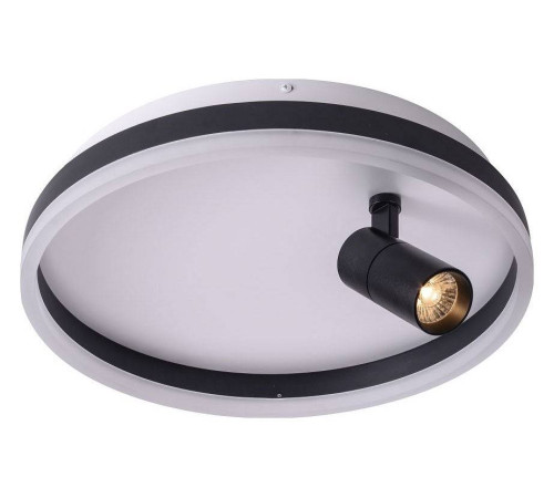 Накладной светильник Zortes Raizy ZRS.1888.03