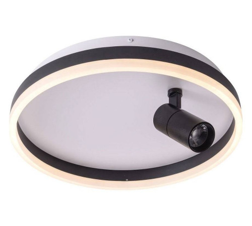 Накладной светильник Zortes Raizy ZRS.1888.03