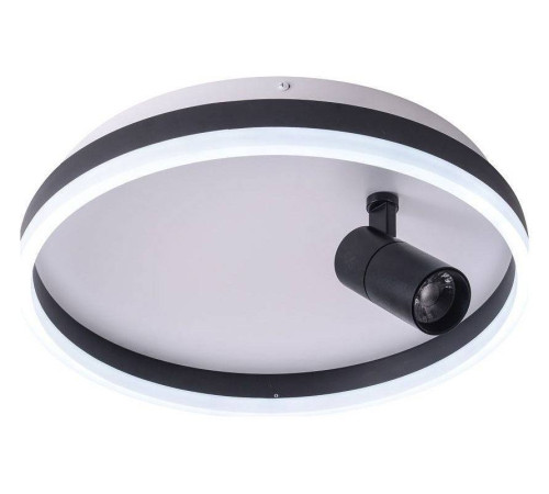 Накладной светильник Zortes Raizy ZRS.1888.03