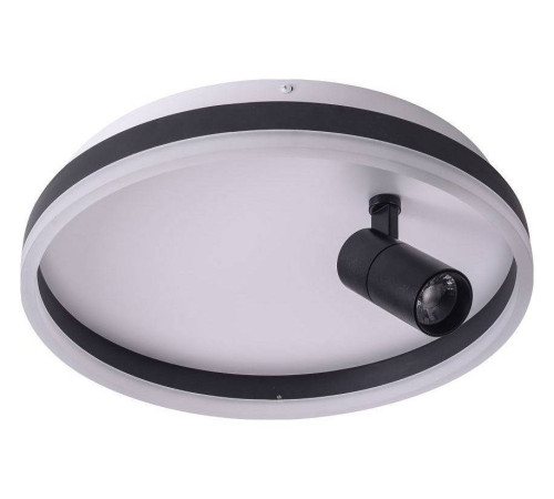 Накладной светильник Zortes Raizy ZRS.1888.03
