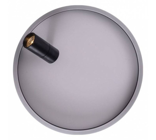 Накладной светильник Zortes Raizy ZRS.1888.03