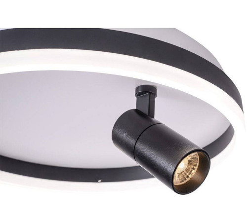 Накладной светильник Zortes Raizy ZRS.1888.03