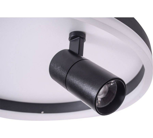 Накладной светильник Zortes Raizy ZRS.1888.03