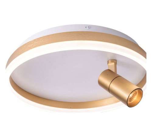 Накладной светильник Zortes Raizy ZRS.1888.04