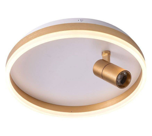 Накладной светильник Zortes Raizy ZRS.1888.04