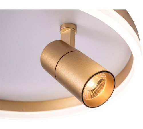 Накладной светильник Zortes Raizy ZRS.1888.04