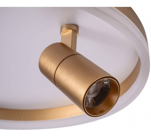 Накладной светильник Zortes Raizy ZRS.1888.04