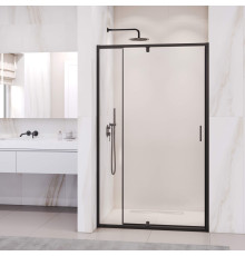 Душевая дверь RGW Passage PA-008B 1000x1850 мм черный 350800801-14