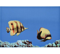Декор Atem Mono Fish 3 275х400 мм 13689134
