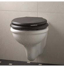 Унитаз подвесной Devon&Devon Etoile 55х38 см белый IBWCSET