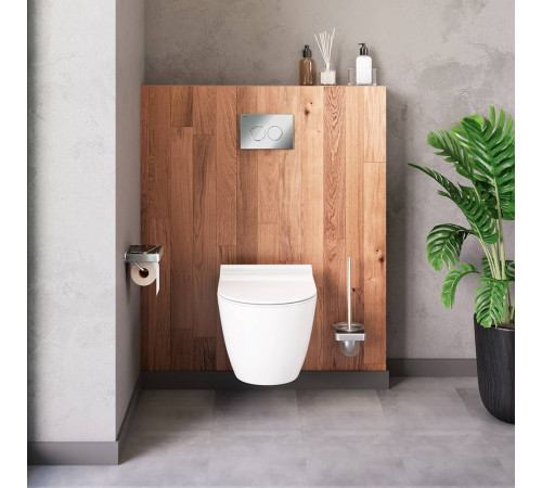 Унитаз подвесной безободковый AM.PM Apollo с сиденьем микролифт DX22C1700SC