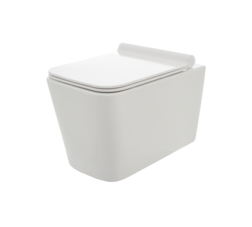 Унитаз подвесной AQUAme Rimless с сиденьем SoftClose 530x365x360 мм AQM2003