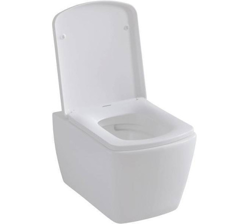 Крышка-сиденье для унитаза Allen Brau Liberty HDA352 4.33006.20