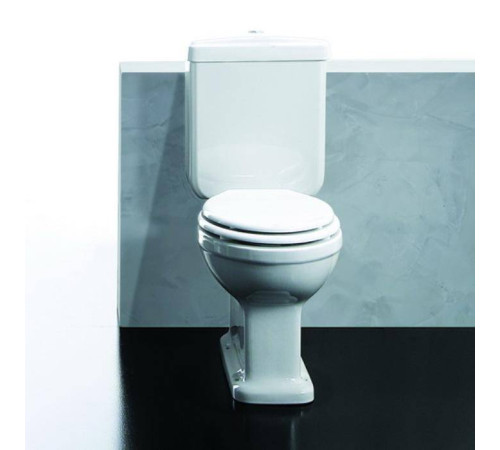 Унитаз-моноблок SIMAS Londra 67х36.5 см горизонтальный слив бронза D21br/LO931bi/LO922bi