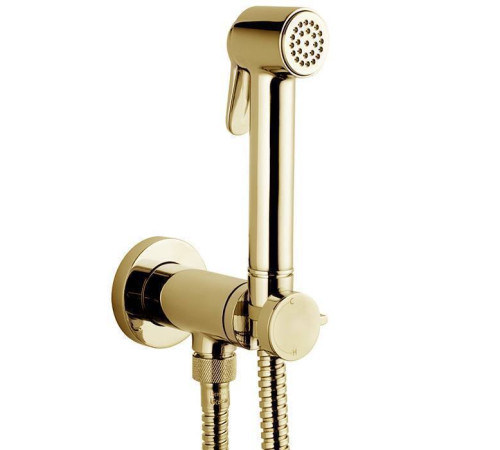 Гигиенический комплект Bossini Paloma Brass смеситель шланг 1250 мм золото E37005B.021