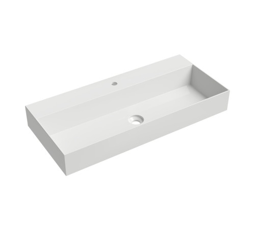 Раковина Ceramica Alice SPY 101x46х13.5 см накладная/подвесная белый глянцевый 34350101
