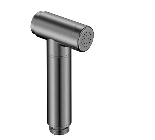 Лейка гигиеническая AQUAMERIT латунная металл AQM8514GM