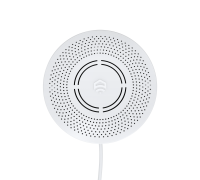 Датчик утечки природного газа ectoControl ES-GAWS-01