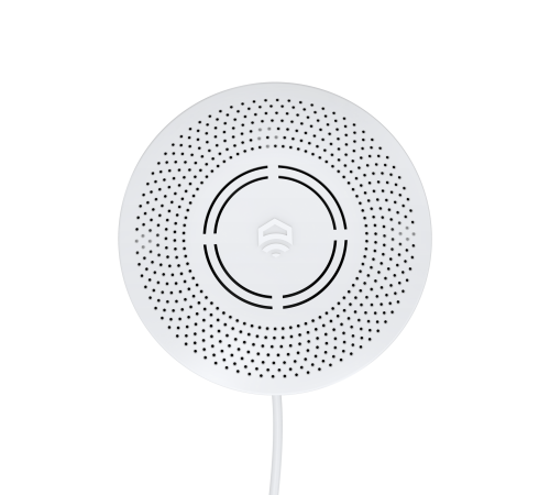 Датчик утечки природного газа ectoControl ES-GAWS-01