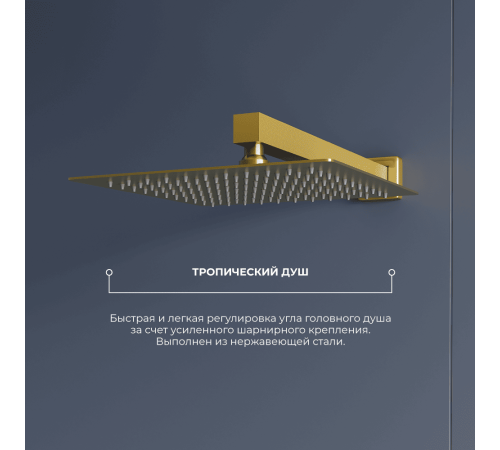 Душевая система скрытого монтажа RGW SP-56Gb золото 51140856-06