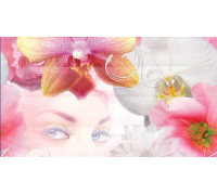 Декор Ceradim Vision Panno A 25x45 см КПН16VisionA