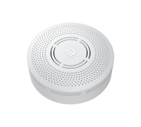 Беспроводной извещатель угарного газа CO ectoControl ES-GARD-01