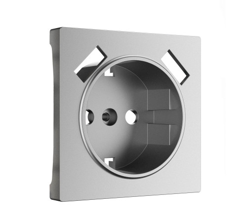 Накладка для розетки USB (серебряный матовый) W1179565