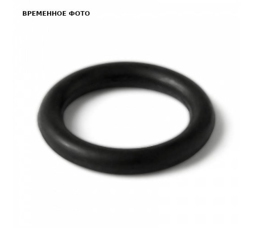 Кольцо уплотнительное для американки PRO AQUA 63 мм PA20918