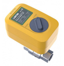 Шаровой кран с электроприводом Neptun Profi 12 В 1 1/4 дюйма 6956