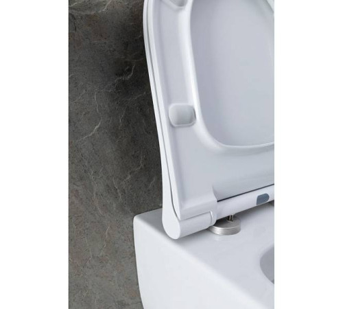 Унитаз подвесной Allen Brau Priority 2 Rimless 49x36 см белый 4.31002.20