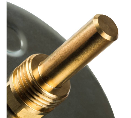 Термометр биметаллический Watts F+R801 с погружной гильзой 100 мм 10006071