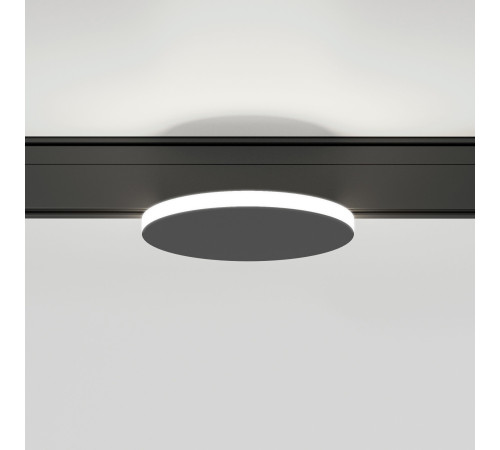 Slim Magnetic Трековый светильник 4W 4000K Cally (черный ) 85172/01