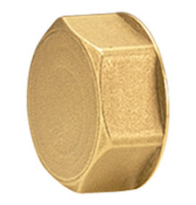 Пробка для коллектора Giacomini 1 ВР R594Y004