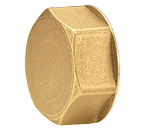 Пробка для коллектора Giacomini 3/4 ВР R594Y005