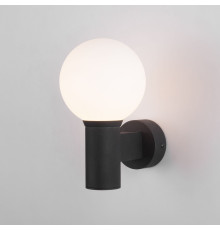 Светильник уличный настенный Sfera IP54 35126/D черный