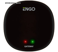 Интернет-шлюз Zigbee ENGO EGATEZB