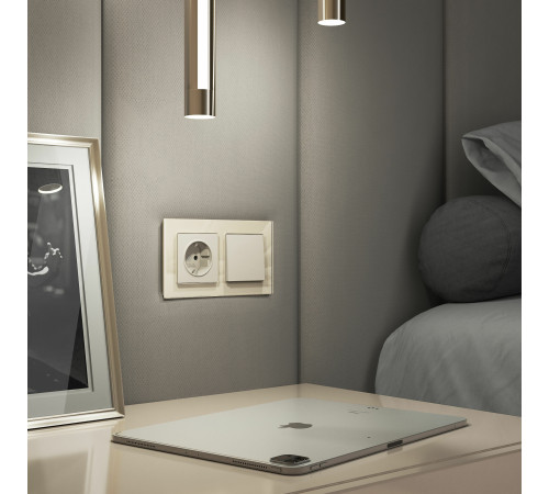 Выключатель одноклавишный (айвори матовый) W1110062