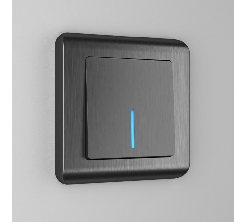 Выключатель одноклавишный проходной с подсветкой (графит рифленый) W1112104